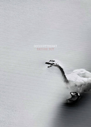 the album cover for Goosebytheway - Nature Boy [White Vinyl]