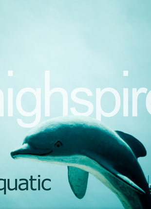 the album cover for Highspire - Aquatic [2LP]