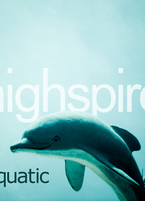 the album cover for Highspire - Aquatic [2LP]