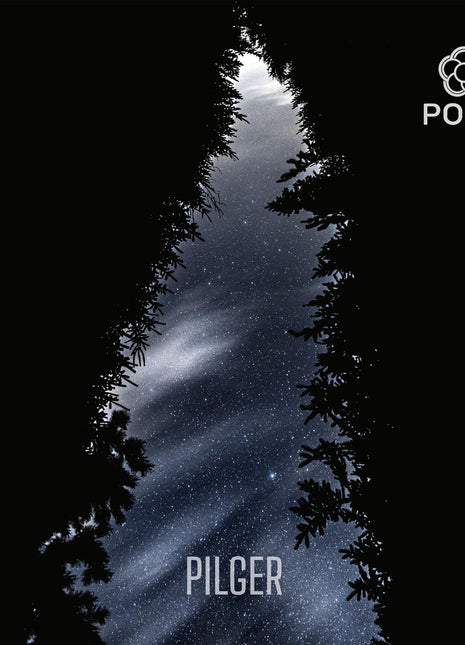 the album cover for Polis - Pilger