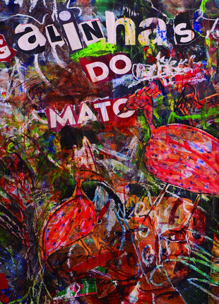 the album cover for Jose Afonso - Galinhas Do Mato