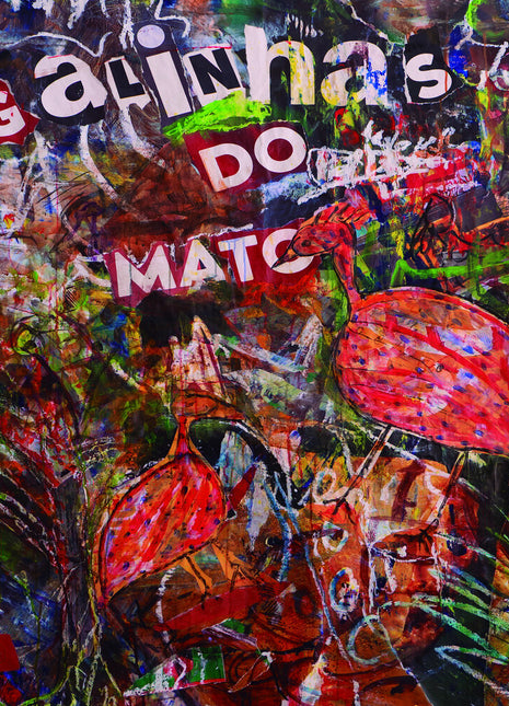 the album cover for Jose Afonso - Galinhas Do Mato