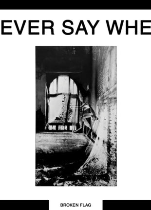 the album cover for Various Artists - Never Say When (2lp)