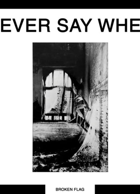 the album cover for Various Artists - Never Say When (2lp)