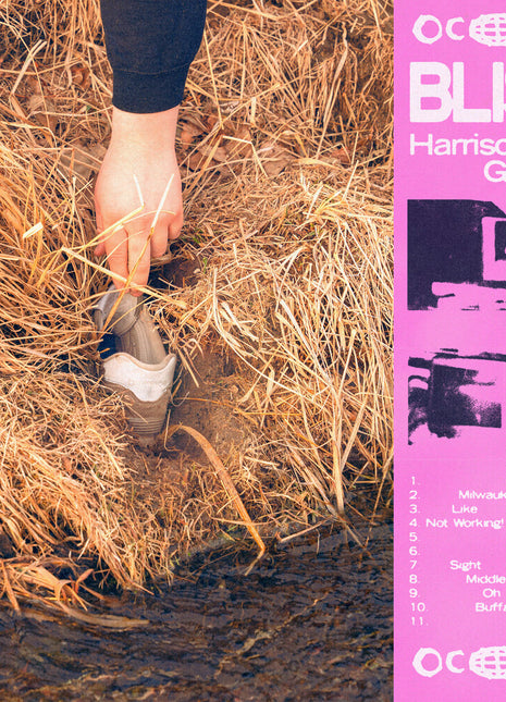 the album cover for Harrison Gordon - Bliss [Indie Exclusive] [Colored Vinyl] [Indie Exclusive]