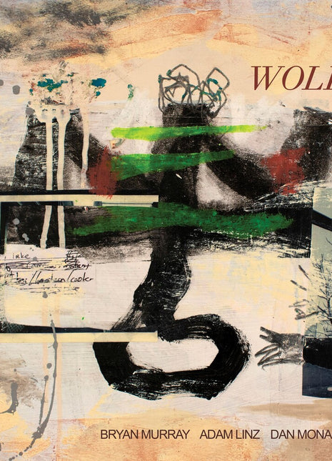 the album cover for Bryan Murray - Wolf