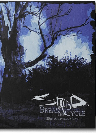 the album cover for Staind - Break the Cycle (25th Anniversary Live)