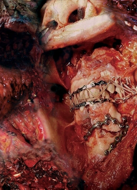 the album cover for Sion Orgon - Discord in Disorder