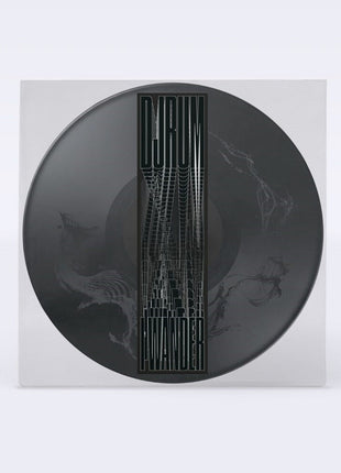 the album cover for Djrum - I Wander [Picture Disc]