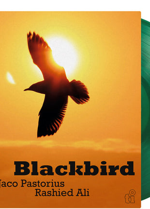 the album cover for Jaco & Rashied Ali " "pastorius - Blackbird (180g/translucent Green Vinyl)