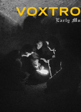 the album cover for Voxtrot - Early Music - Tiger Eye [Colored Vinyl]