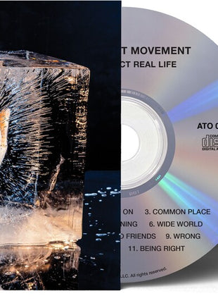 the album cover for Improvement Movement - Your Perfect Real Life