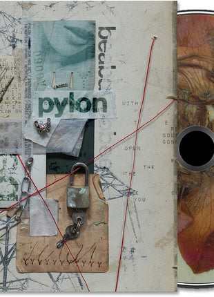 the album cover for beabadoobee - Pylon [Digipak]