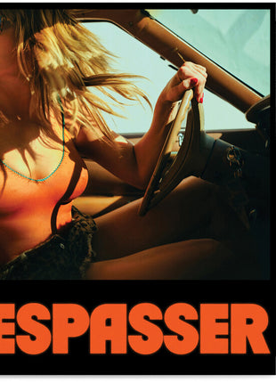 the album cover for Grace Potter - Trespasser