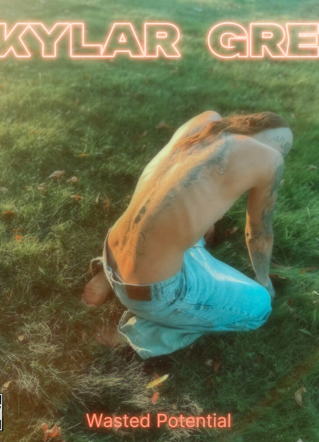 the album cover for Skylar Grey - Wasted Potential