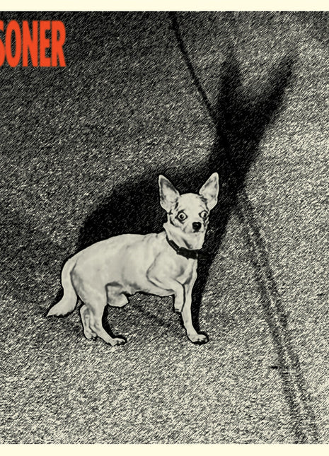 the album cover for Prisoner - Prisoner