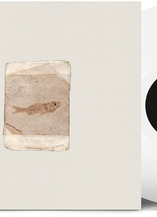 the album cover for Do Nothing - Friend World - Milky Clear [Clear Vinyl]