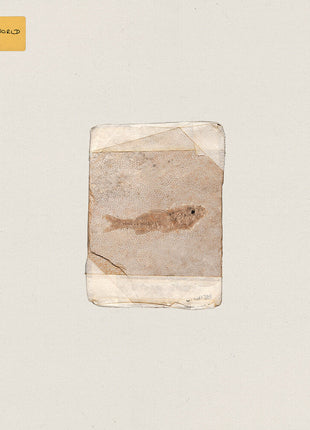 the album cover for Do Nothing - Friend World
