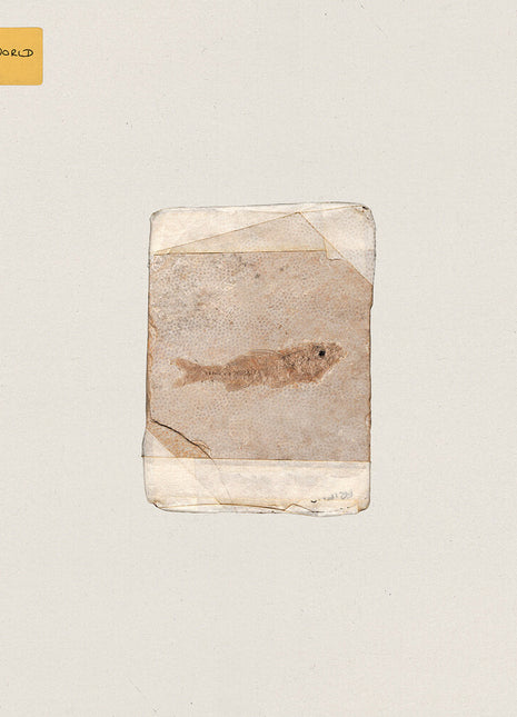 the album cover for Do Nothing - Friend World