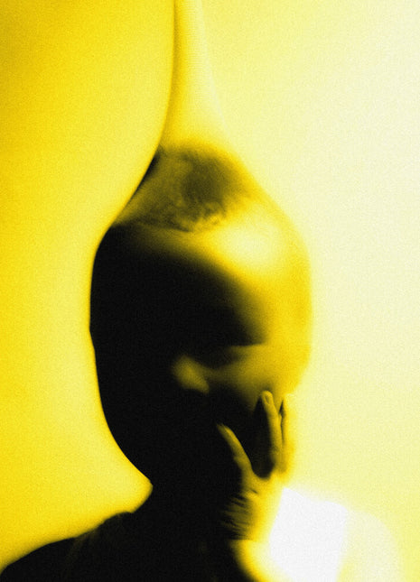 the album cover for Lemonsuckr - Life Is A Heist