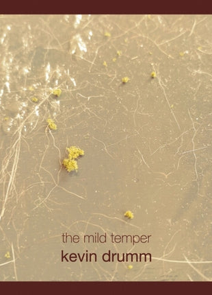 the album cover for Kevin Drumm - Mild Temper (Box)