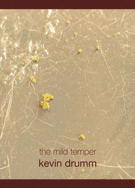 the album cover for Kevin Drumm - Mild Temper (Box)