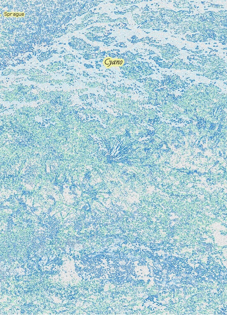 the album cover for Sprague, Emily a. - Cyano [Indie Exclusive] Blue