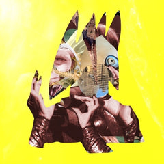 the album cover for Wassermann, Ute - chimeric