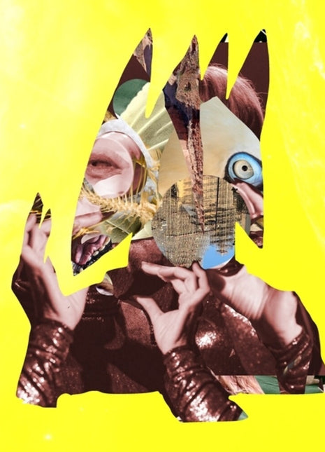 the album cover for Wassermann, Ute - chimeric