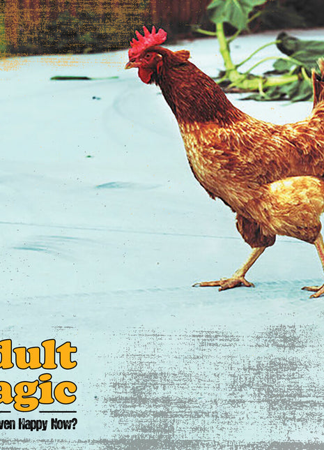 the album cover for Adult Magic - Are You Even Happy Now