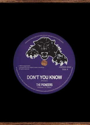 the album cover for Pioneers - Don't You Know / Me Naw Go A Believe [Reissue]