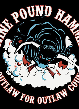 the album cover for Nine Pound Hammer - Too Outlaw For Outlaw Country (10in) [Limited Edition] (Pict)