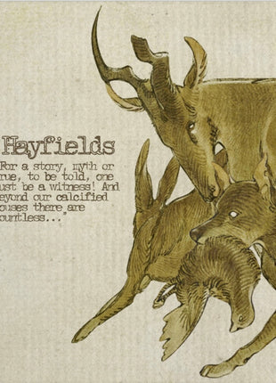the album cover for Yaelokre - Hayfields