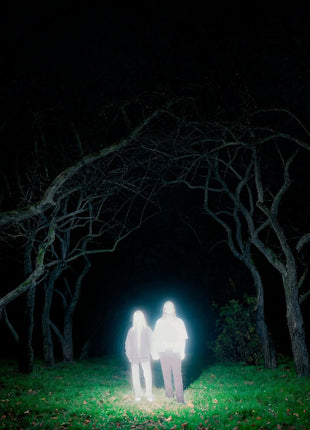 the album cover for Gnoomes - Losey [Indie Exclusive] Slate Gray [Colored Vinyl] (Gry) [Indie Exclusive]