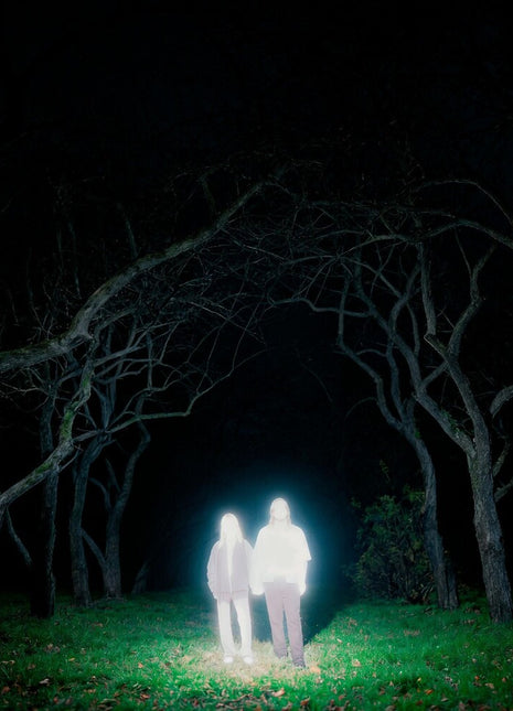 the album cover for Gnoomes - Losey [Indie Exclusive] Slate Gray [Colored Vinyl] (Gry) [Indie Exclusive]