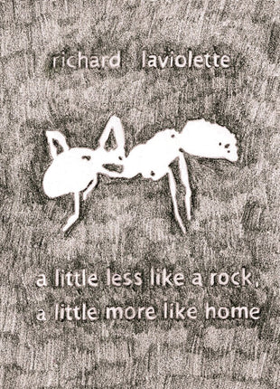 the album cover for Richard Laviolette - Little Less Like A Rock, A Little More Like Home