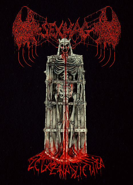 the album cover for Sexmag - Zelazna Dziewica