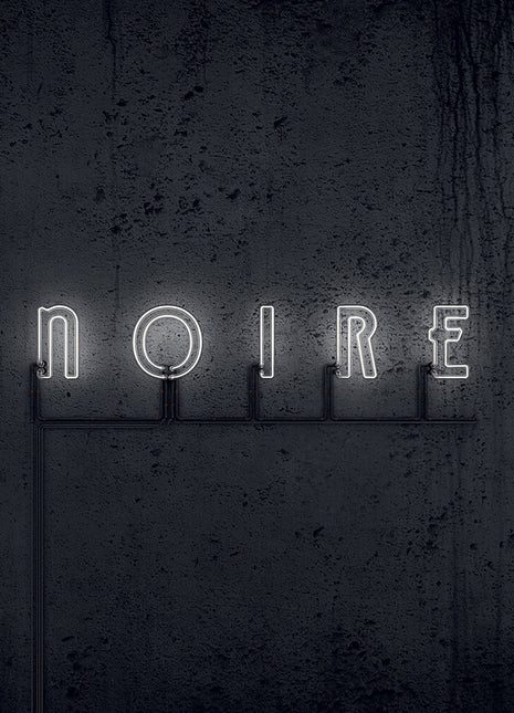 the album cover for Vnv Nation - Noire [Colored Vinyl] [Limited Edition] (Bice)