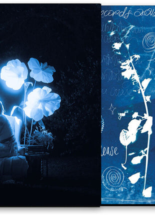 the album cover for Dream Crease - Blue Hour In The Living Room [Colored Vinyl] [Limited Edition]