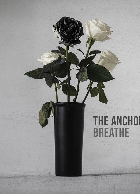 the album cover for Anchor - The Anchor