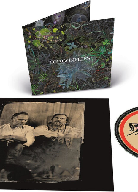the album cover for Dragonflies - Dragonflies