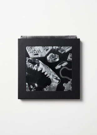 the album cover for Lex XX - Lex XX [180 Gram + Book]