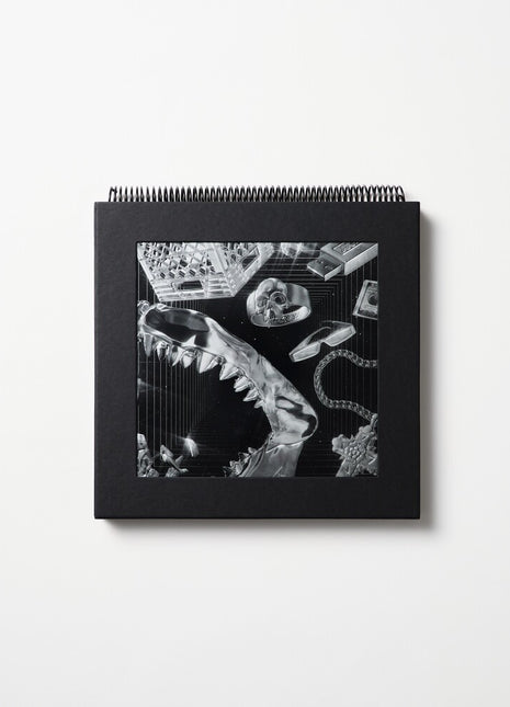 the album cover for Lex XX - Lex XX [180 Gram + Book]