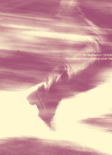 the album cover for Bees Made Honey in the Vein Tree - In Between Strides [Digipak]