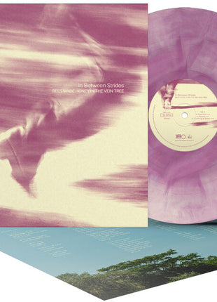 the album cover for Bees Made Honey in the Vein Tree - In Between Strides [Colored Vinyl] (Ofgv)