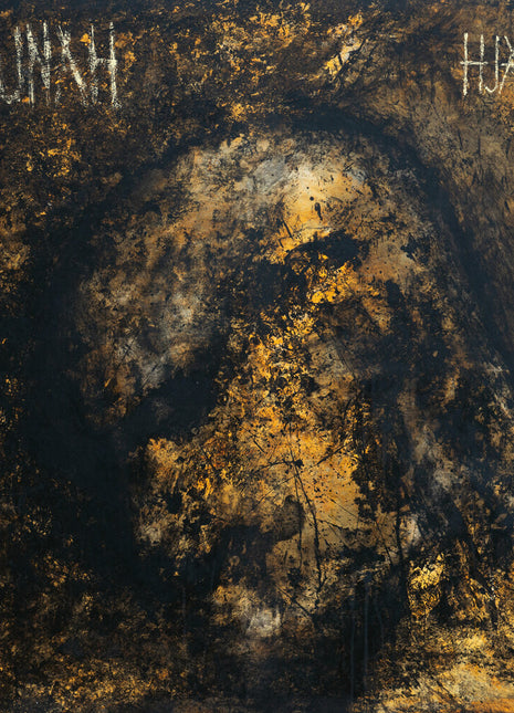 the album cover for Maunah - Hjarta [Digipak]