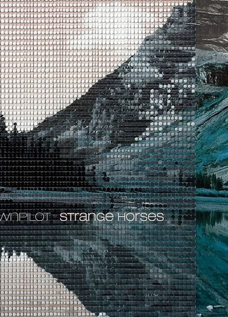 the album cover for Downpilot - Strange Horses