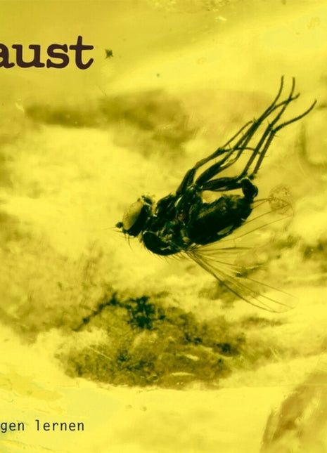 the album cover for Faust - Fliegen Lernen (Indie Exclusive) [Limited Edition] [Indie Exclusive]