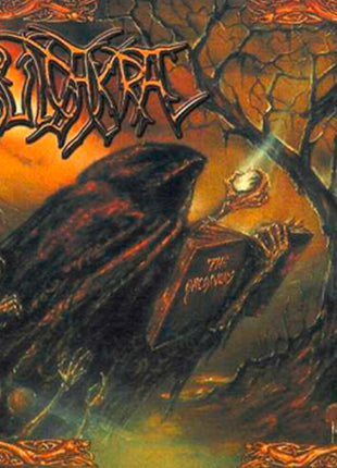 the album cover for Suidakra - Arcanum