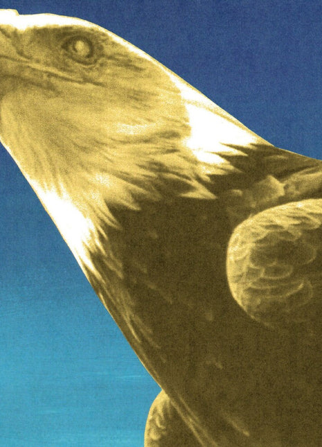 the album cover for Protomartyr - Hotel Usona [Indie Exclusive Gold]